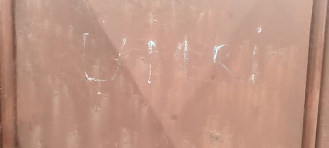 Napad batinaša - Jelena Ljuboja