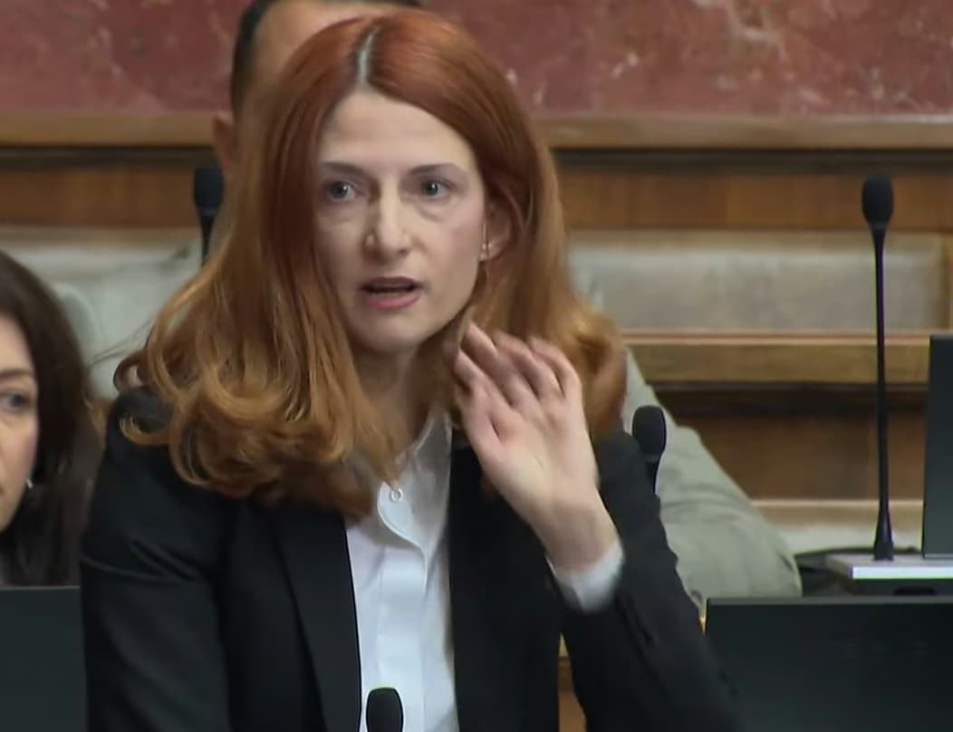 Napad batinaša - Biljana Đorđević