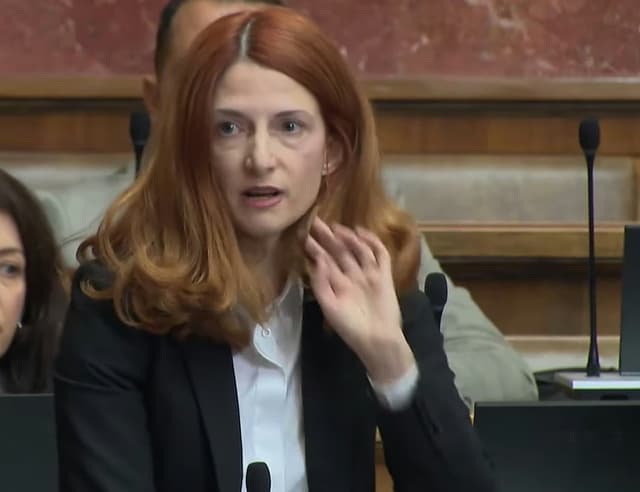 Napad batinaša - Biljana Đorđević