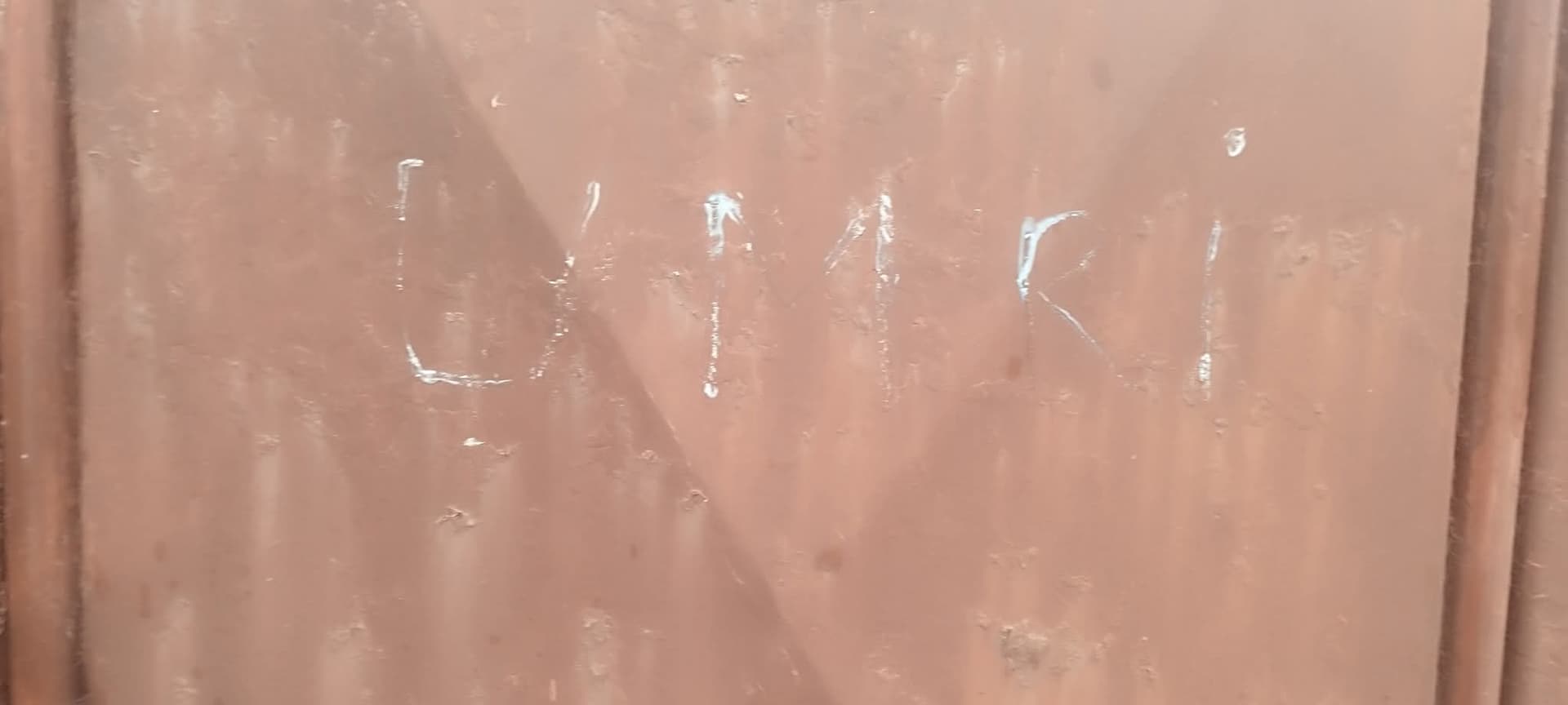 Napad batinaša - Jelena Ljuboja